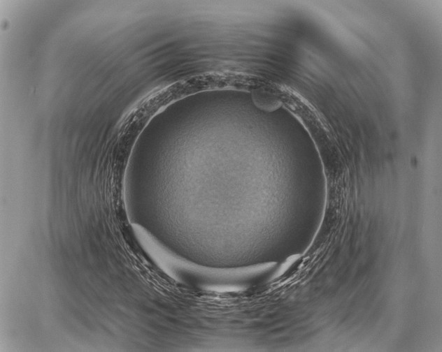 X0000086770919200704131137