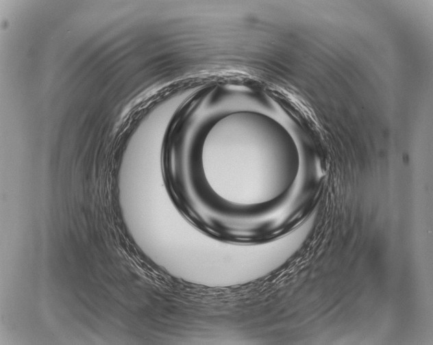 X0000086770920200704131137