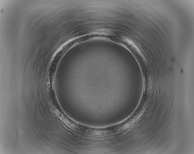 X0000086770923200704131138