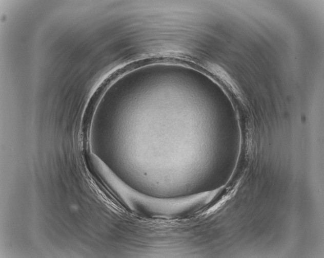 X0000086770924200704131138