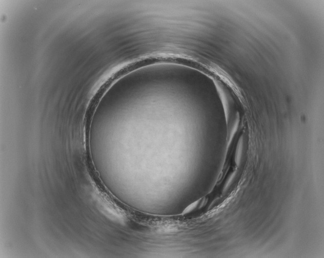 X0000086770934200704131138