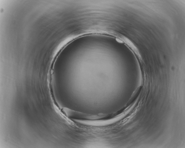 X0000086770958200704131138