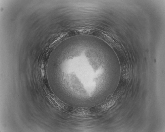 X0000086770962200704131137