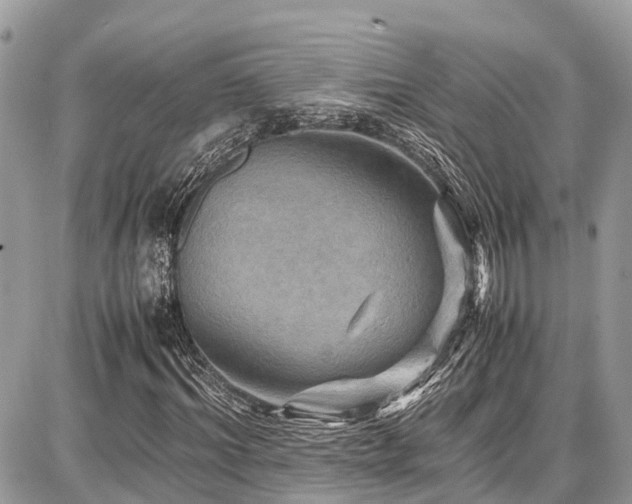 X0000086770964200704131137