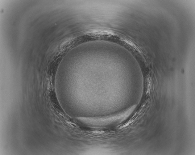 X0000086770965200704131137