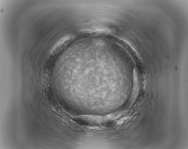 X0000086770967200704131137
