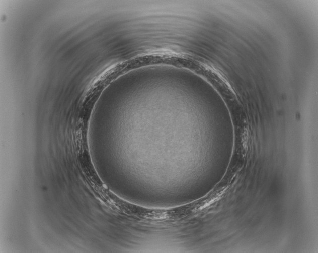 X0000086770968200704131137