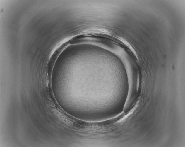 X0000086770973200704131137
