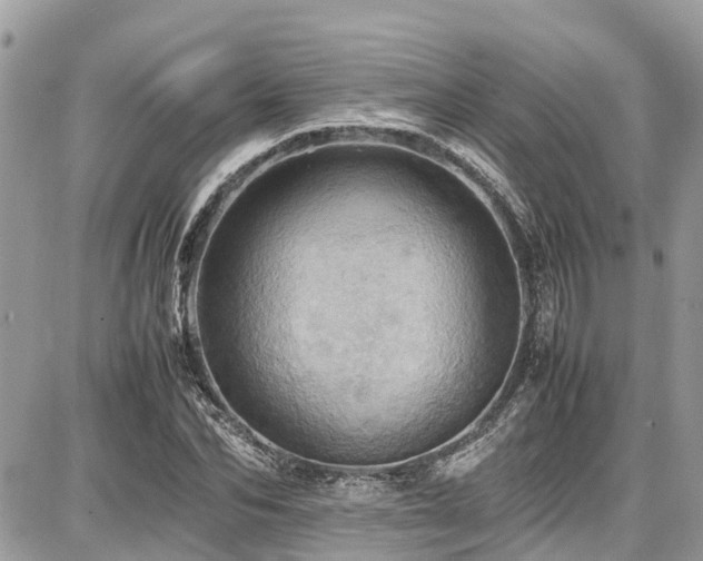 X0000086770974200704131137