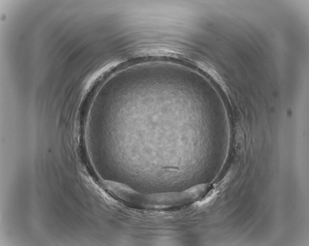 X0000086770979200704131137