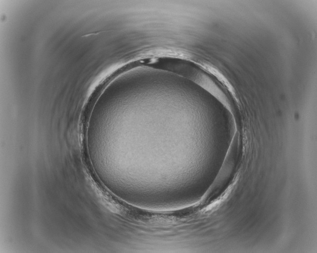 X0000086770981200704131137
