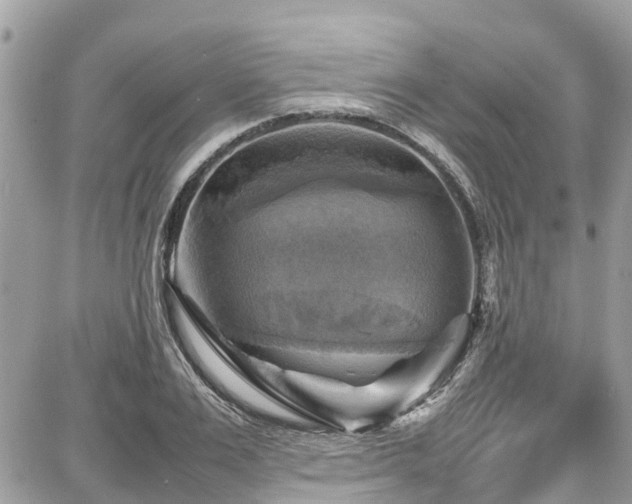 X0000086770983200704131137