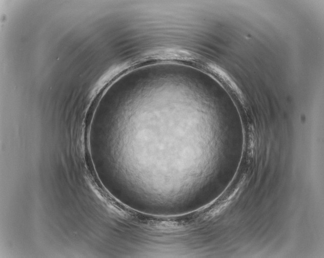 X0000086770986200704131137