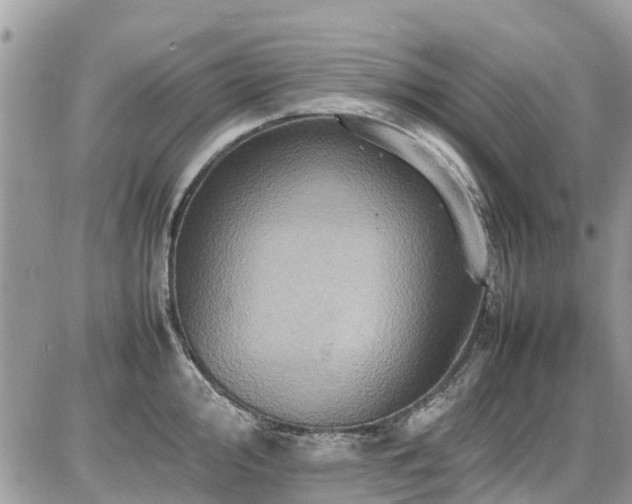 X0000086771000200704131137
