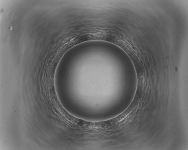 X0000086771009200704131136