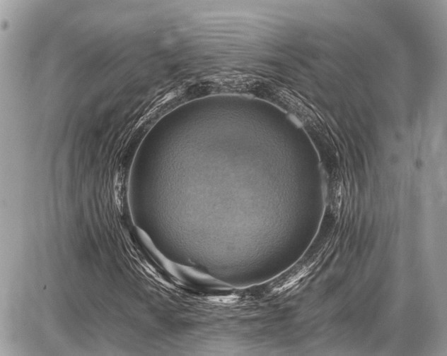 X0000086771010200704131136
