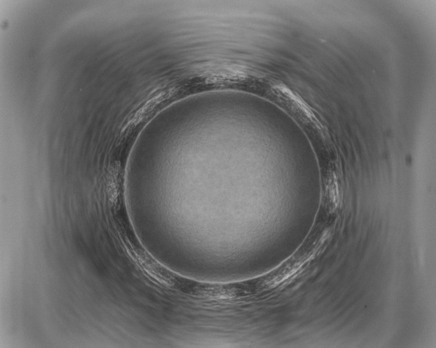 X0000086771012200704131136