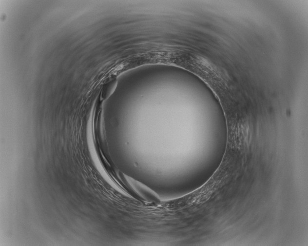 X0000086771013200704131136
