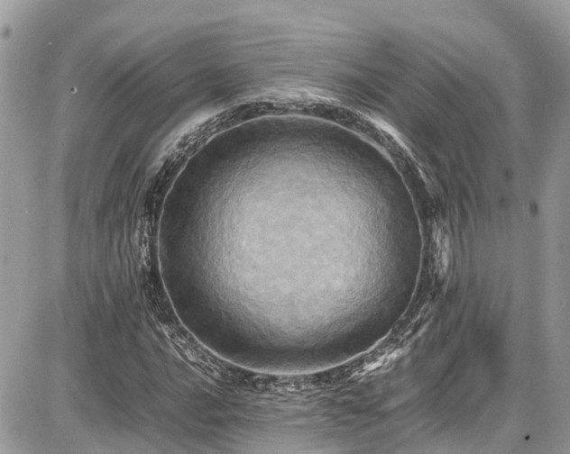 X0000086771016200704131136