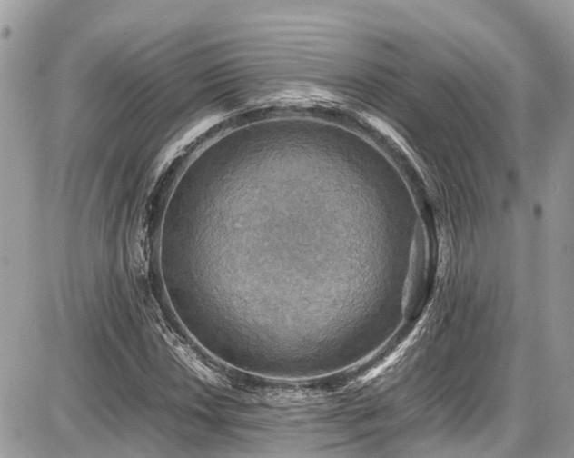 X0000086771018200704131136