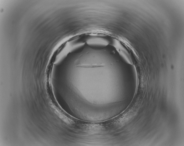 X0000086771024200704131136