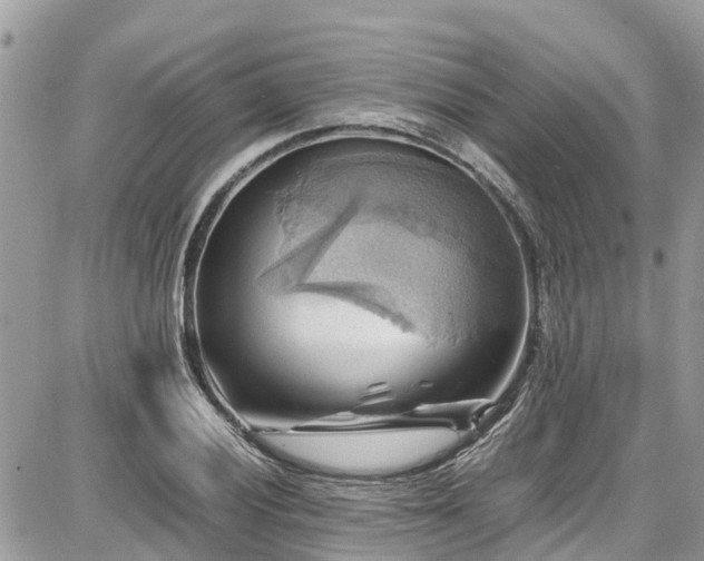 X0000086771028200704131136