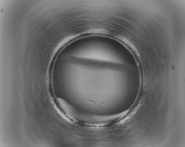 X0000086771037200704131136