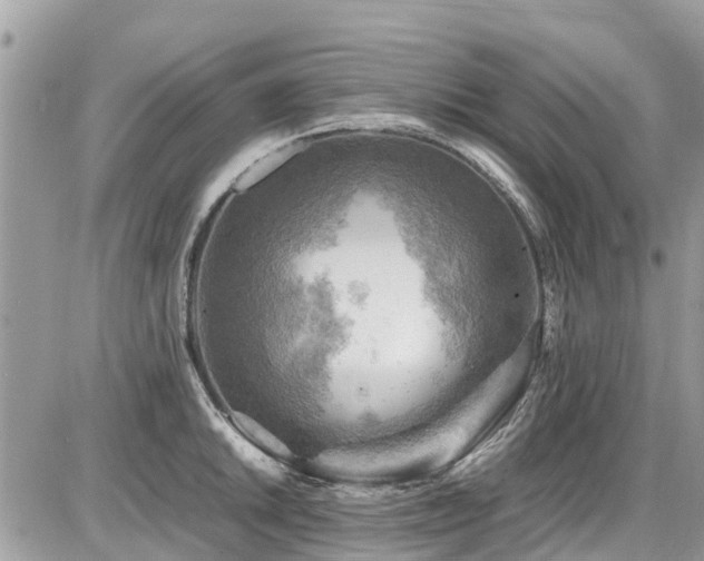 X0000086771046200704131136