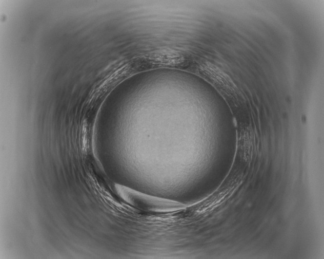 X0000086771058200704131136