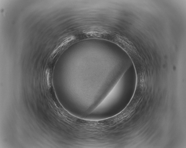 X0000086771060200704131136