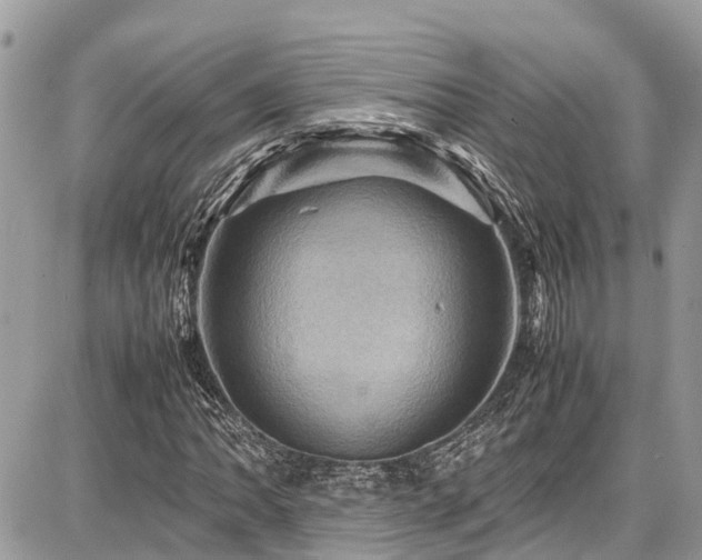 X0000086771062200704131136