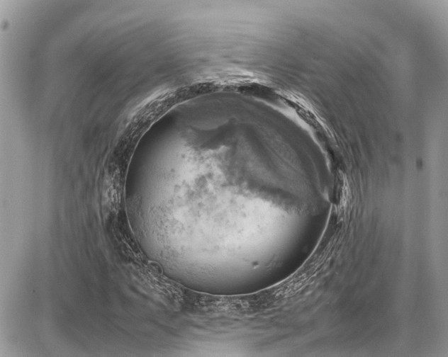 X0000086771063200704131136