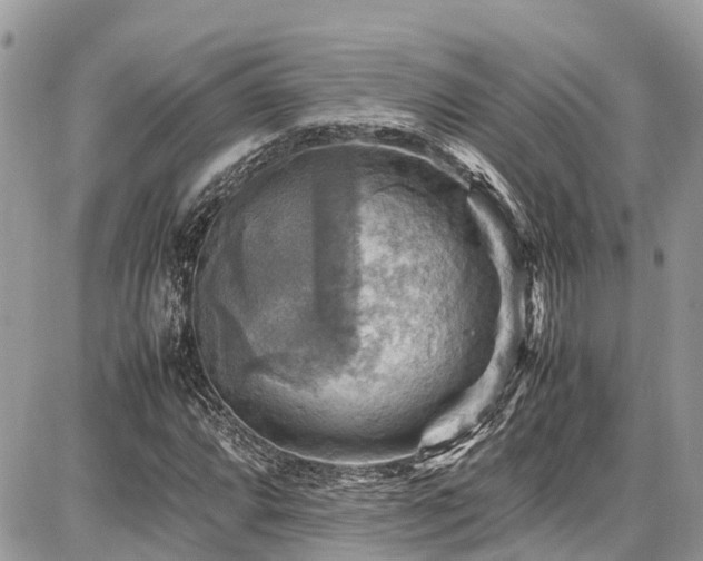 X0000086771064200704131136