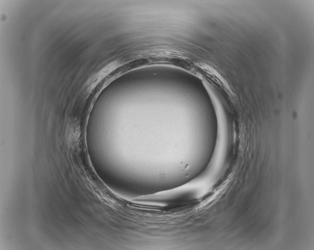 X0000086771065200704131136
