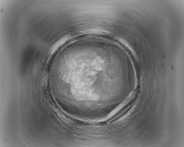 X0000086771067200704131136