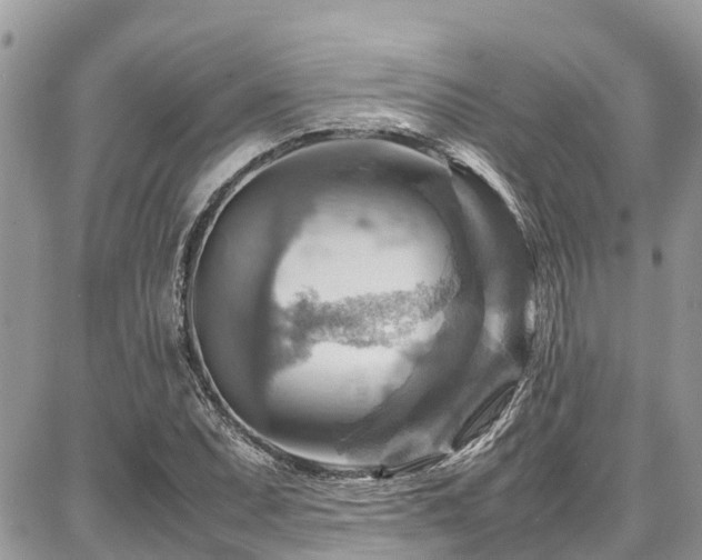 X0000086771071200704131135