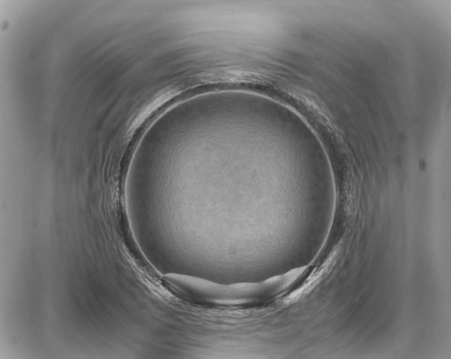 X0000086771073200704131135