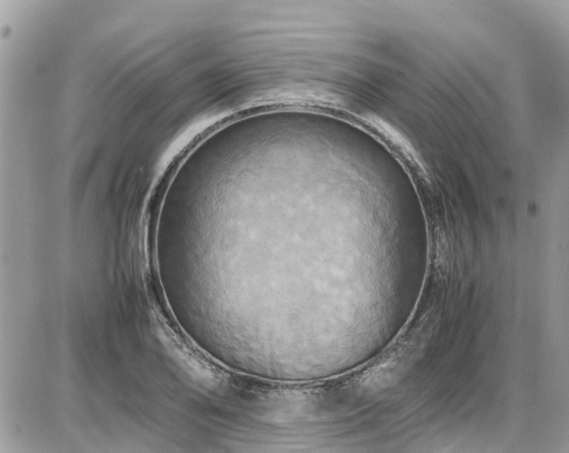 X0000086771078200704131135