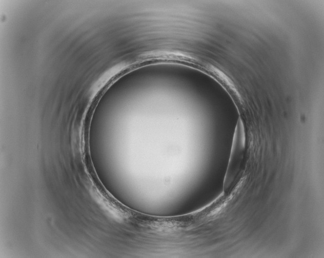 X0000086771082200704131135