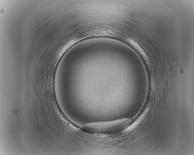 X0000086771089200704131135