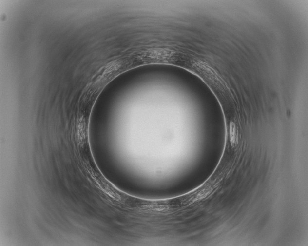 X0000086771107200704131134