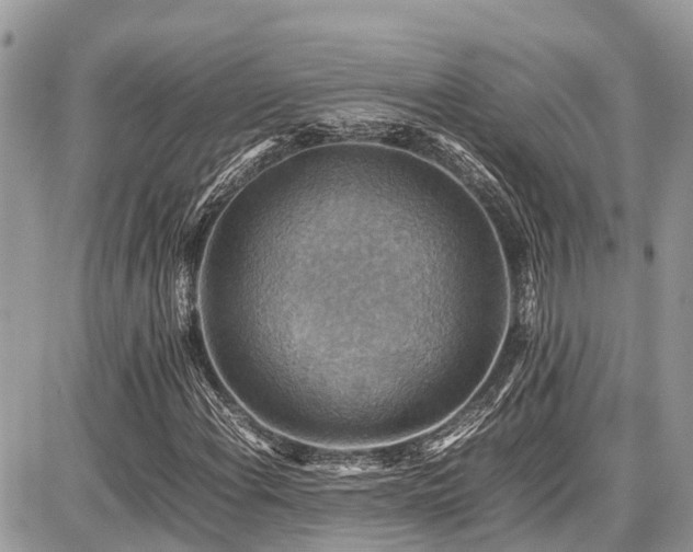 X0000086771108200704131134
