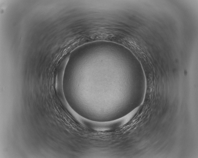 X0000086771109200704131134