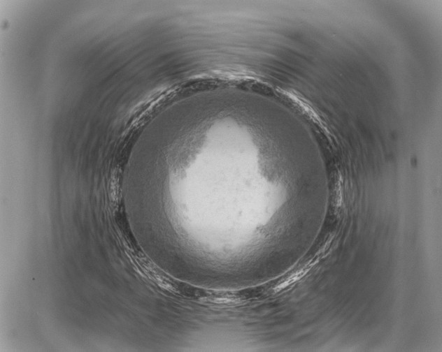 X0000086771110200704131134