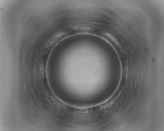 X0000086771111200704131134
