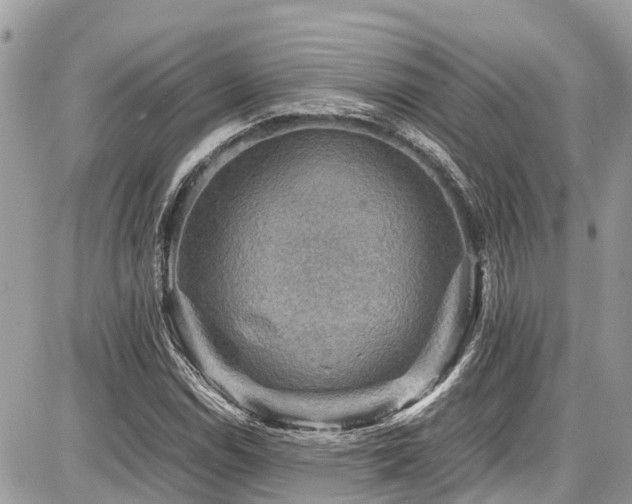 X0000086771114200704131134