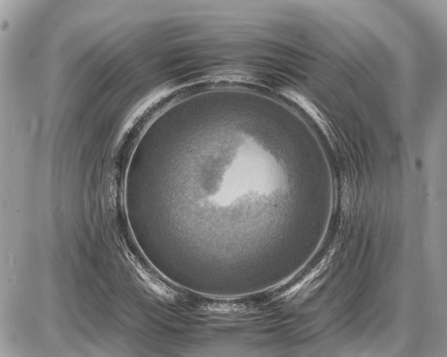 X0000086771115200704131134
