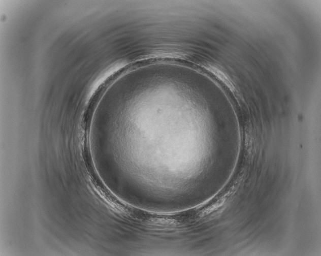 X0000086771119200704131134