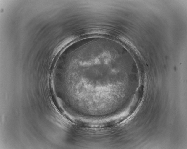 X0000086771121200704131134