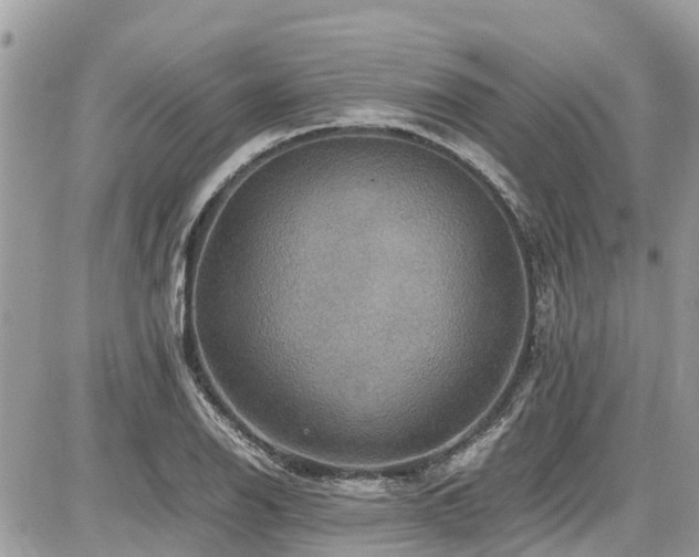 X0000086771126200704131134